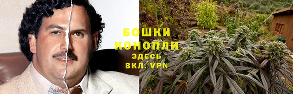 2c-b Алзамай
