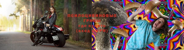прущие крисы Абаза