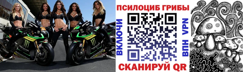 Галлюциногенные грибы мицелий  darknet клад  Иннополис 